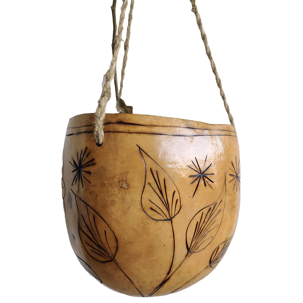 Handcrafted Hanging Planter with Dried Bottle Guard
