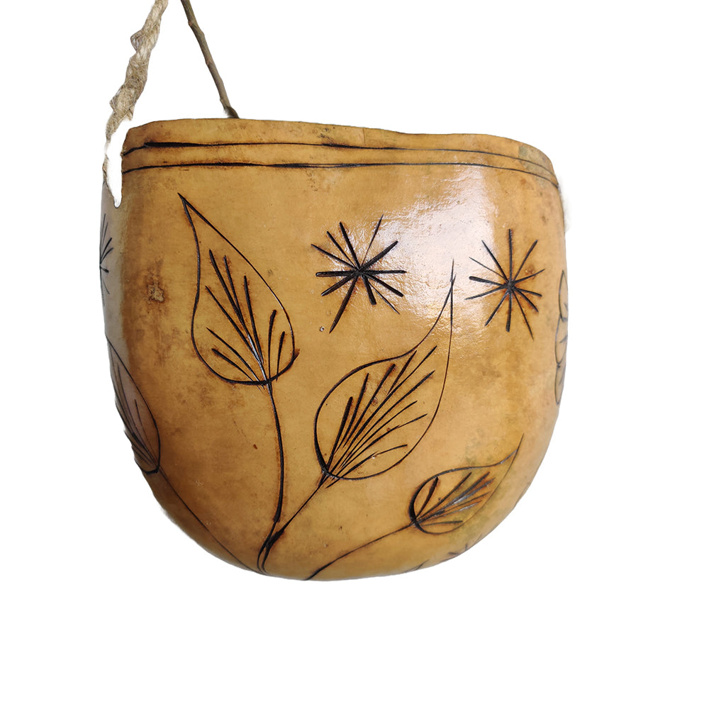 Handcrafted Hanging Planter with Dried Bottle Guard