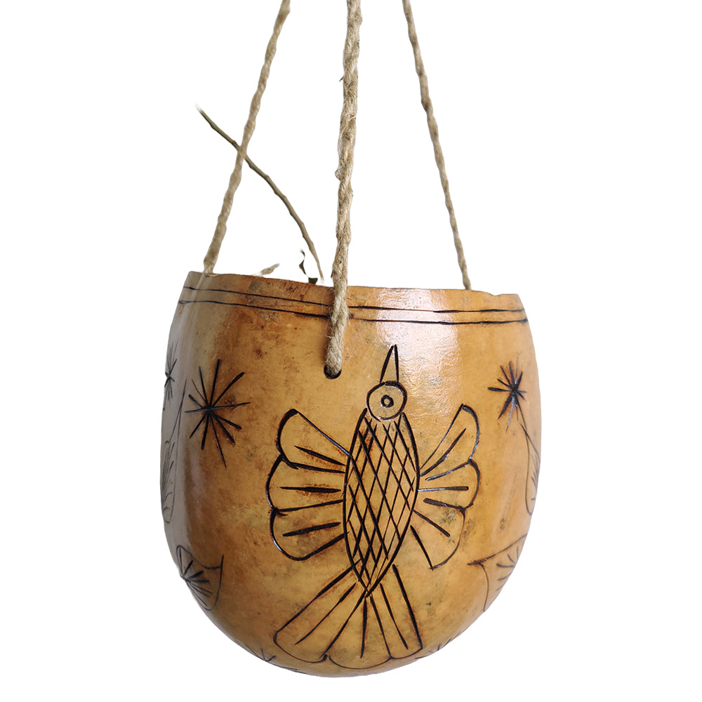 Handcrafted Hanging Planter with Dried Bottle Guard